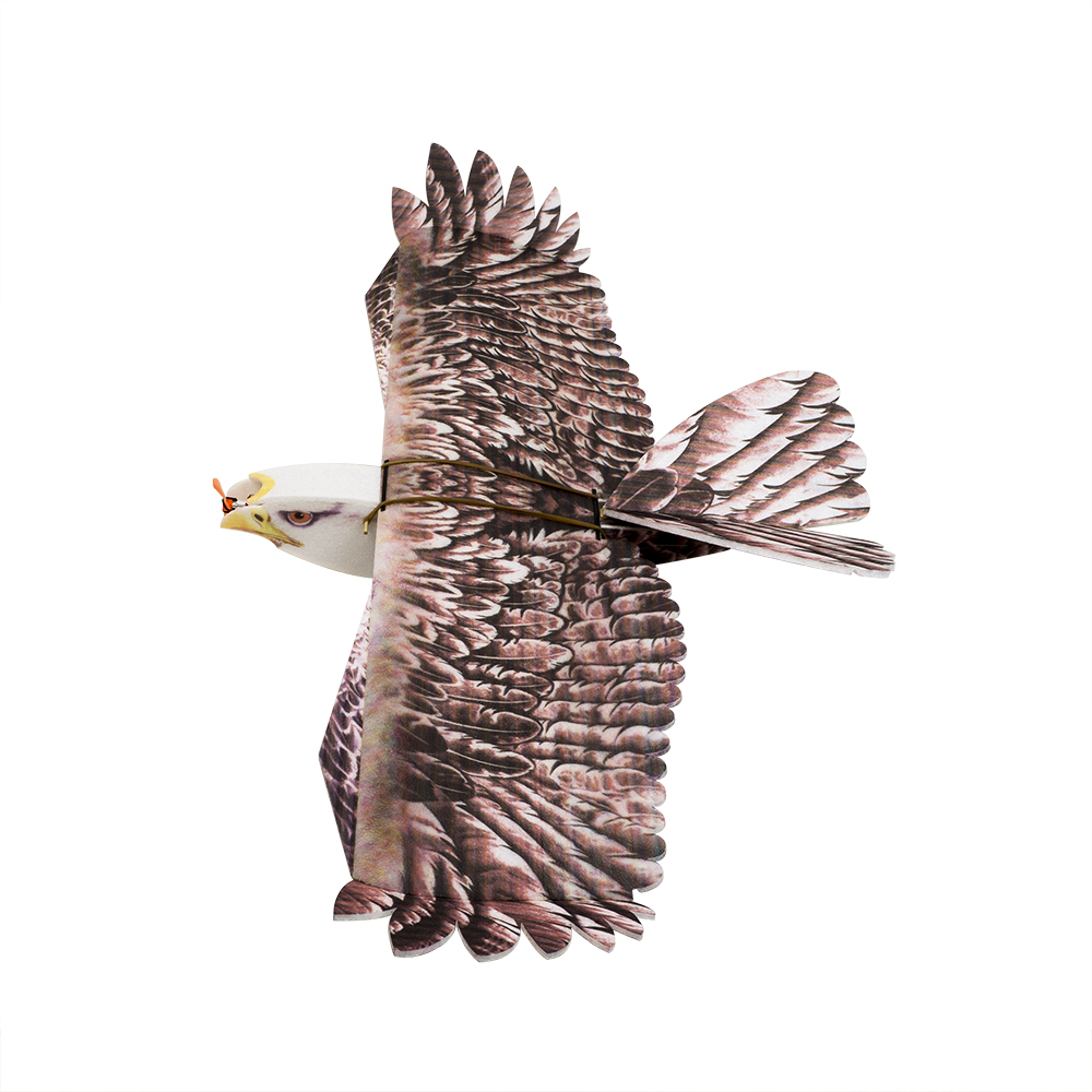 Rc Hobby Plane - DW Hobby Eagle II EPP Uçak