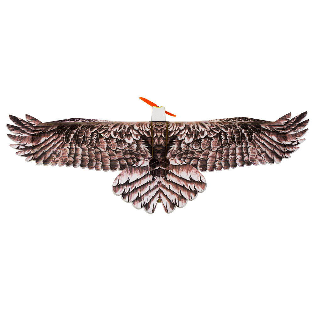 DW Hobby Eagle II EPP Uçak RC  - Rc Hobby Plane incelemesi ve fiyatı